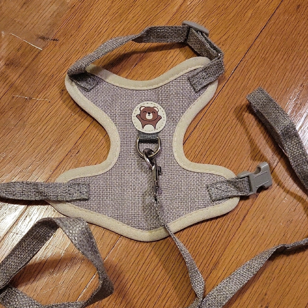 Light Gray Cat Harness and Leash Set - Picture 2 of 5